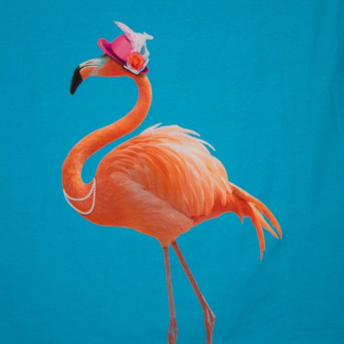 Fotopaneel flamingo