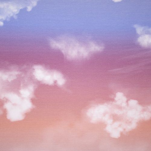 Tricot met wolken lucht print