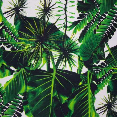 Canvas met Exotische Planten