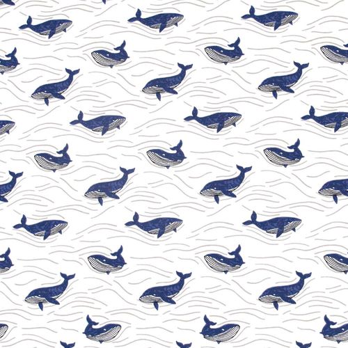 Tricot wit met blauwe walvissen - Katia