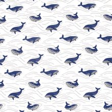 Tricot wit met blauwe walvissen - Katia