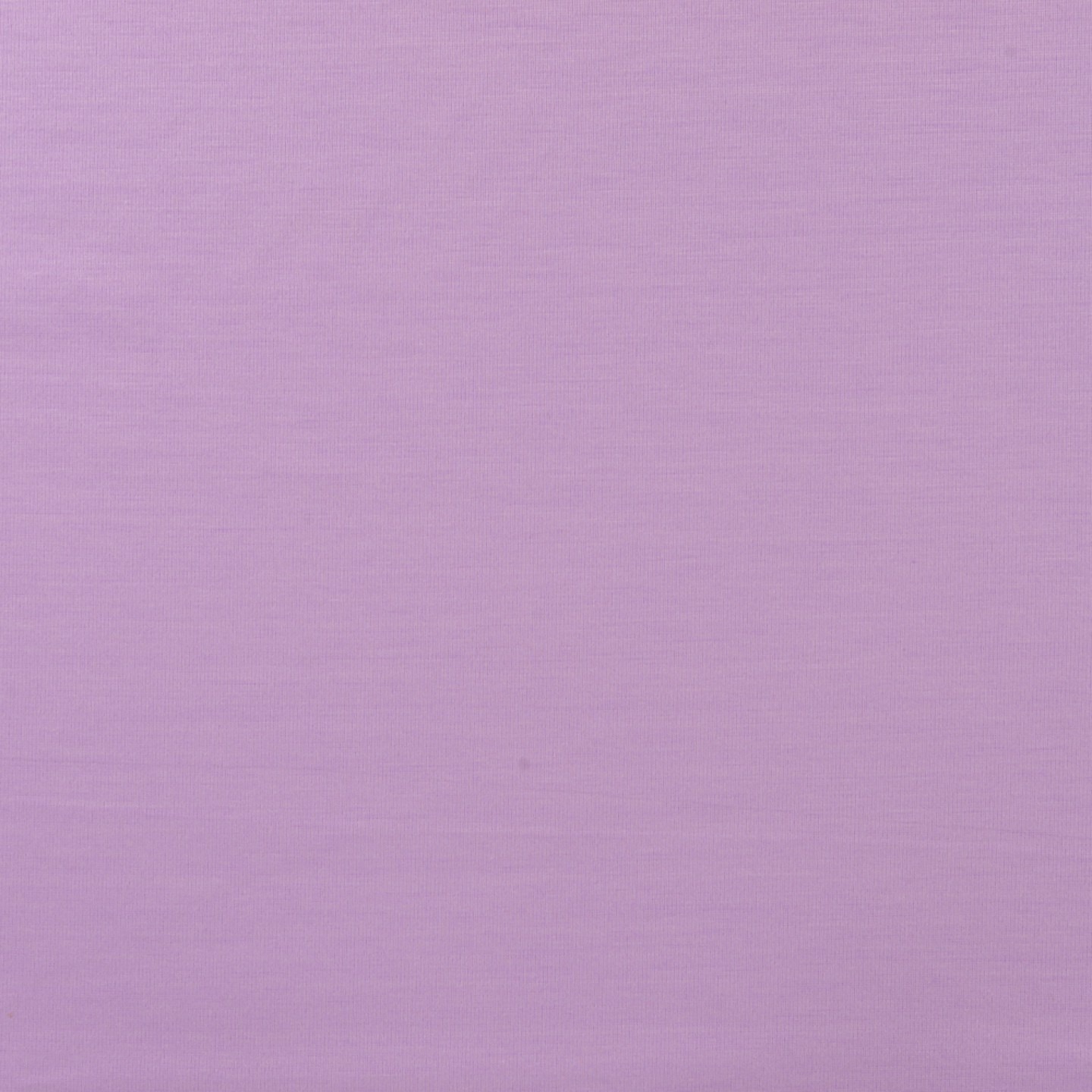 Zomerpunta dusty lilac