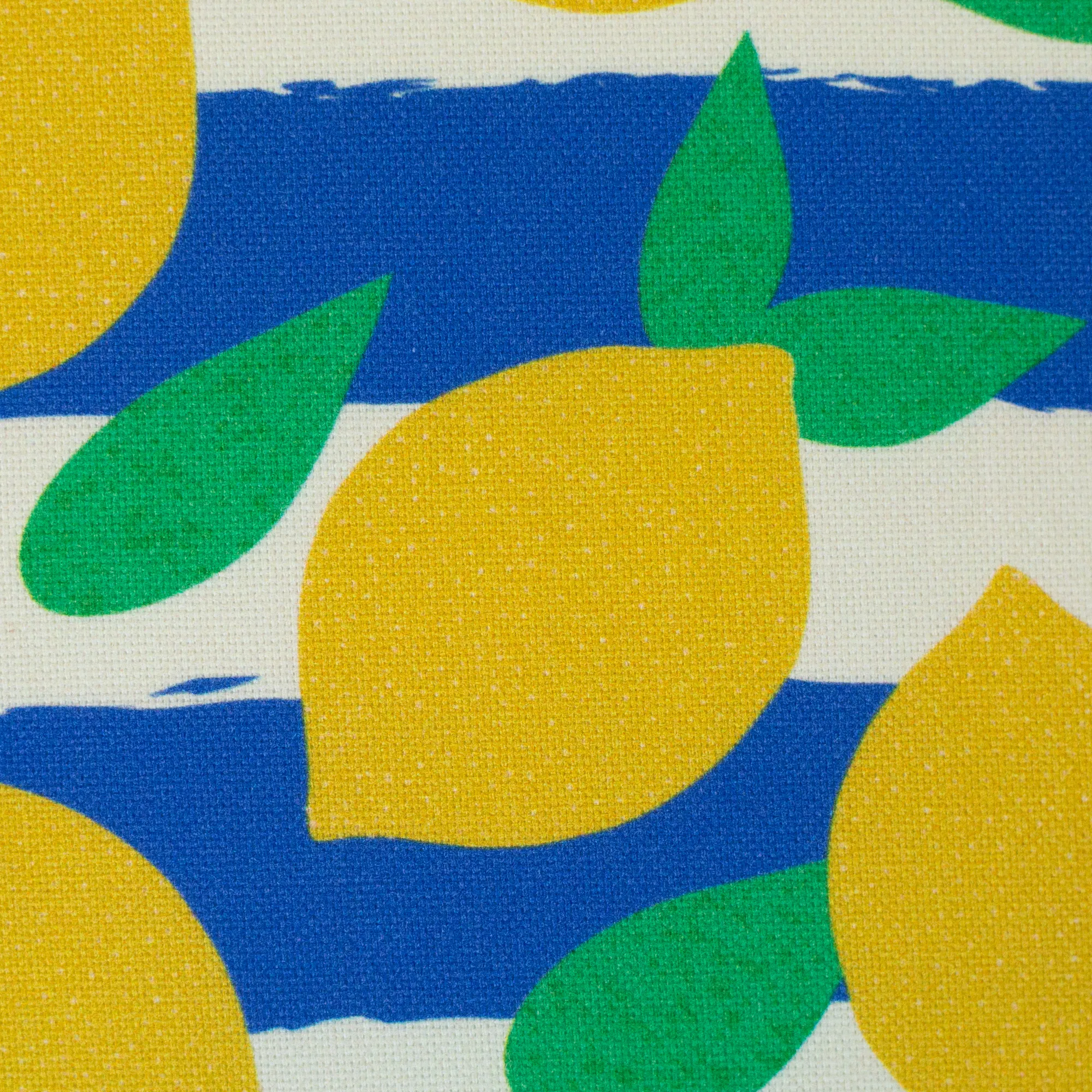 Canvas met print fruit citroen 'Jumble & Zest'