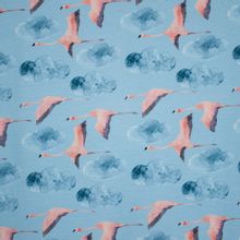 Lichtblauwe tricot met flamingo's en wolken