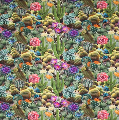 Tricot cactus fotoprint