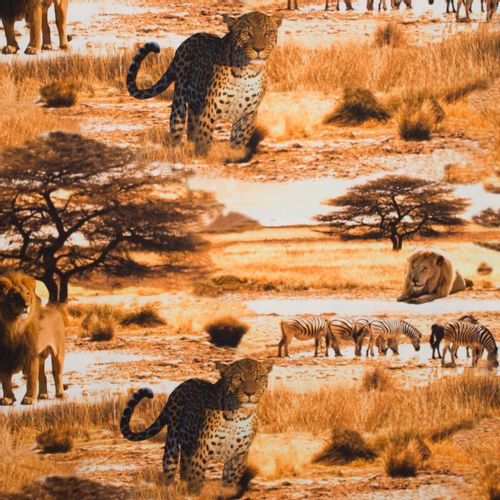 Tricot savanne fotoprint
