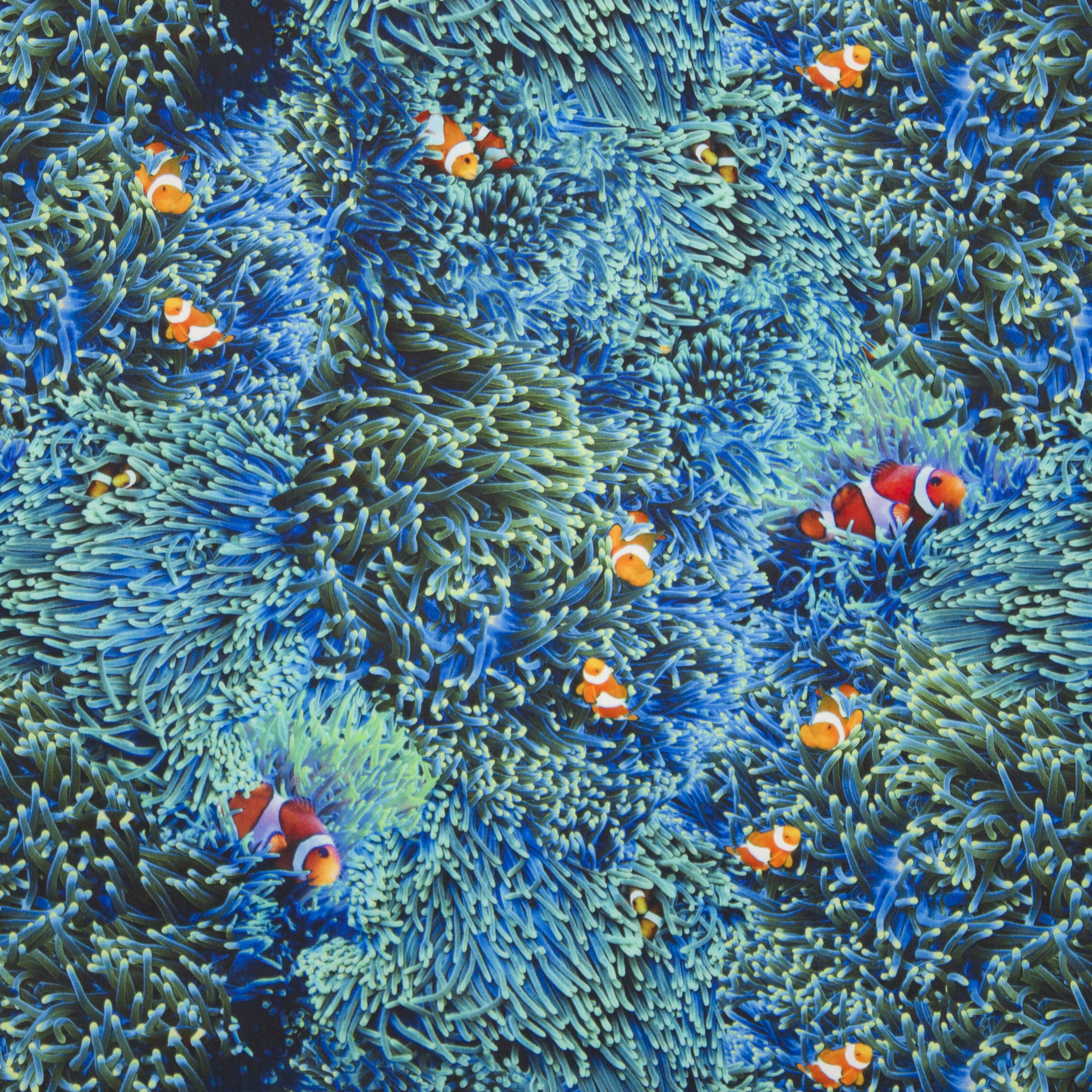 Blauwe katoen met clownvissen