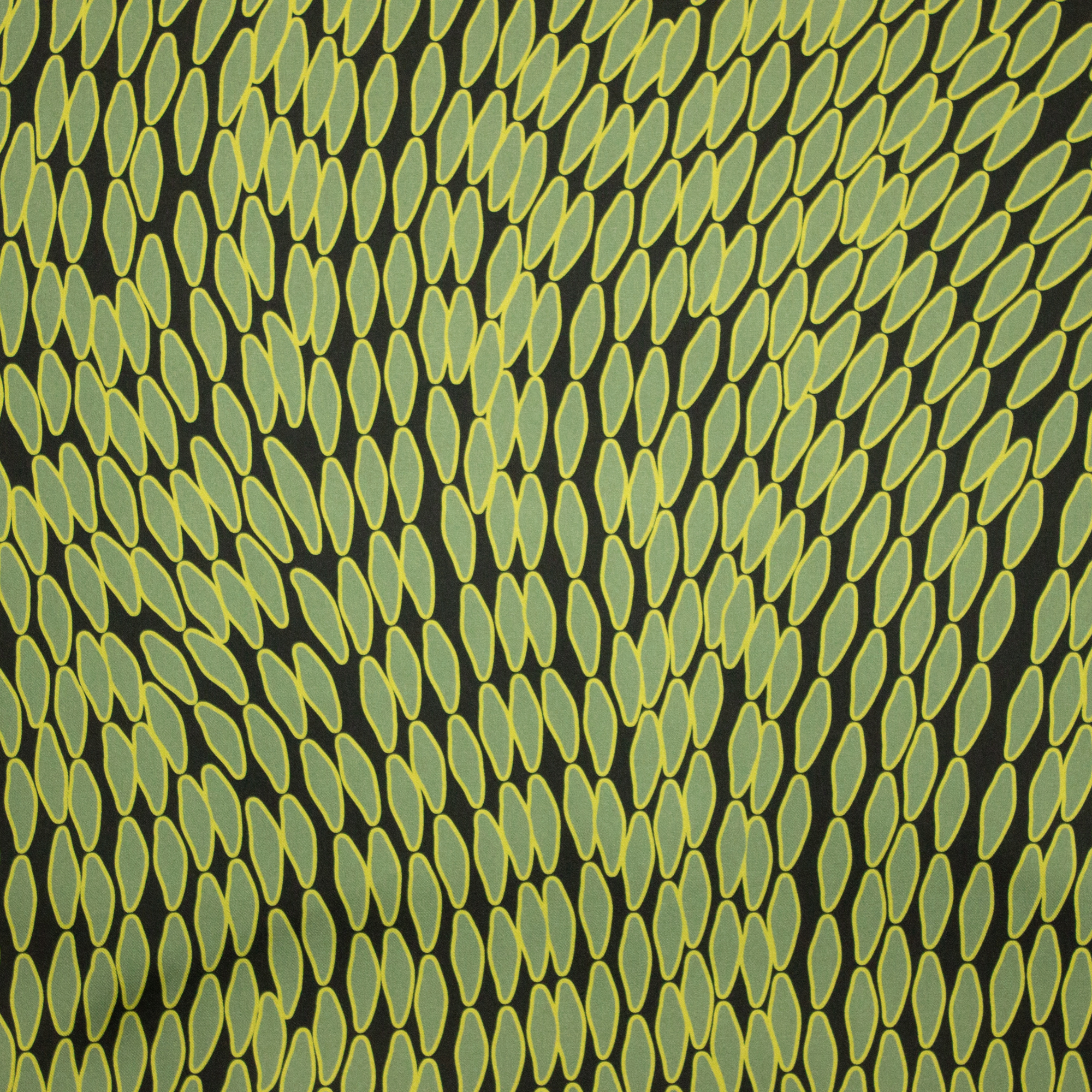 Zwarte Gesatineerde Polyester met Groen Patroon
