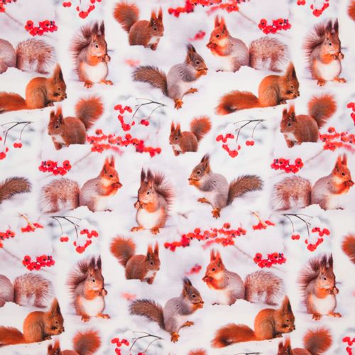 Witte tricot met digitale fotoprint van eekhoorns en bessen