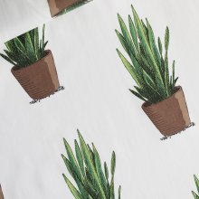See you at six - Playtime - Sansevieria - Lawn