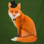 Fotopaneel vos