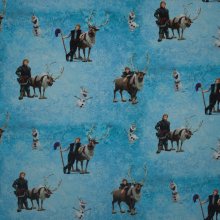 tricot met Frozen motief