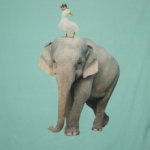 Tricot met dierenprint