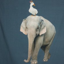 Tricot met dierenprint