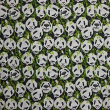 Katoen Michael Panda