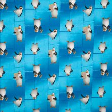 katoentricot Madagascar pinguins