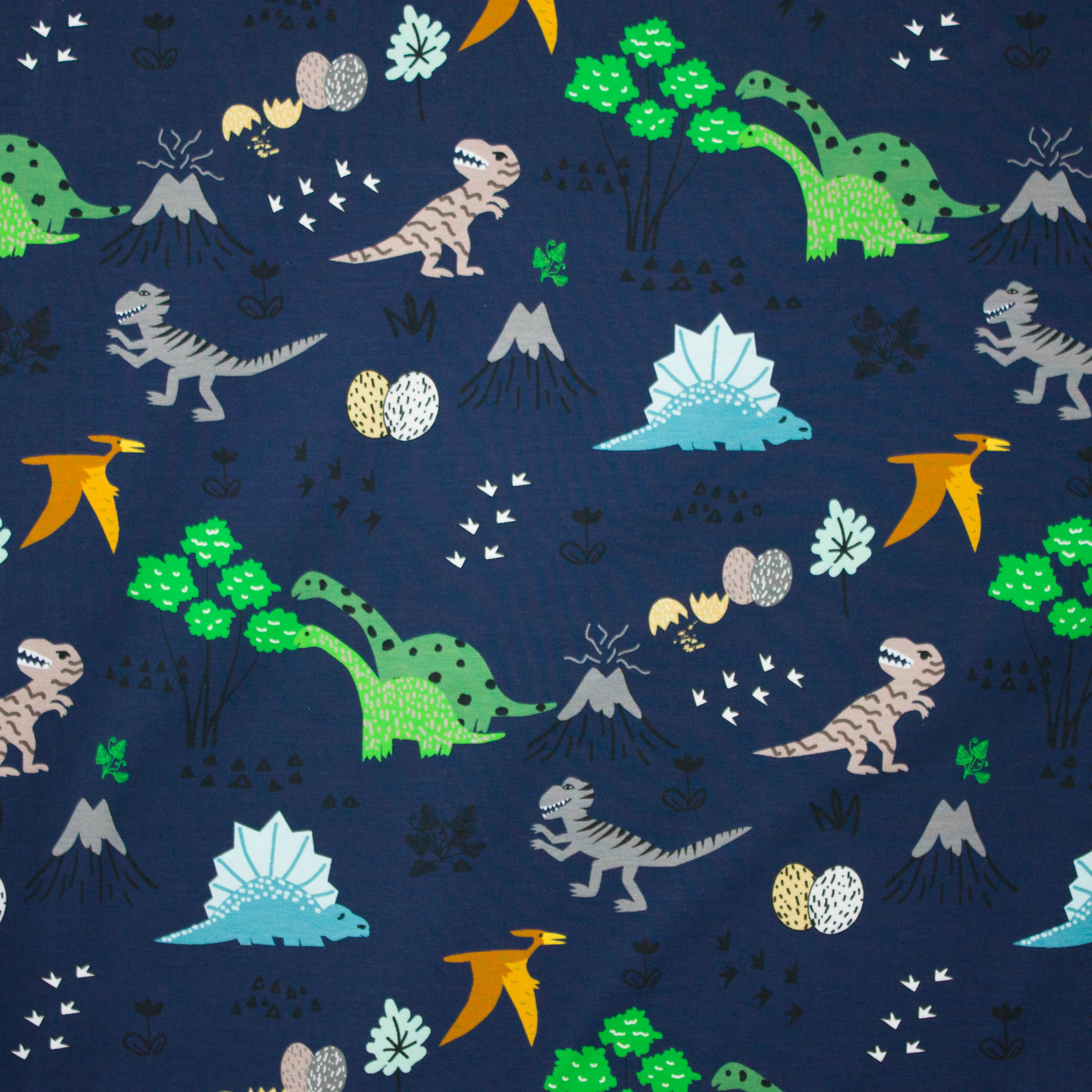 Donkerblauwe tricot met dinosaurusprint