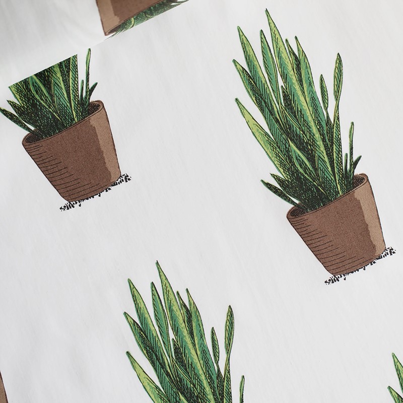 See you at six - Playtime - Sansevieria - Lawn