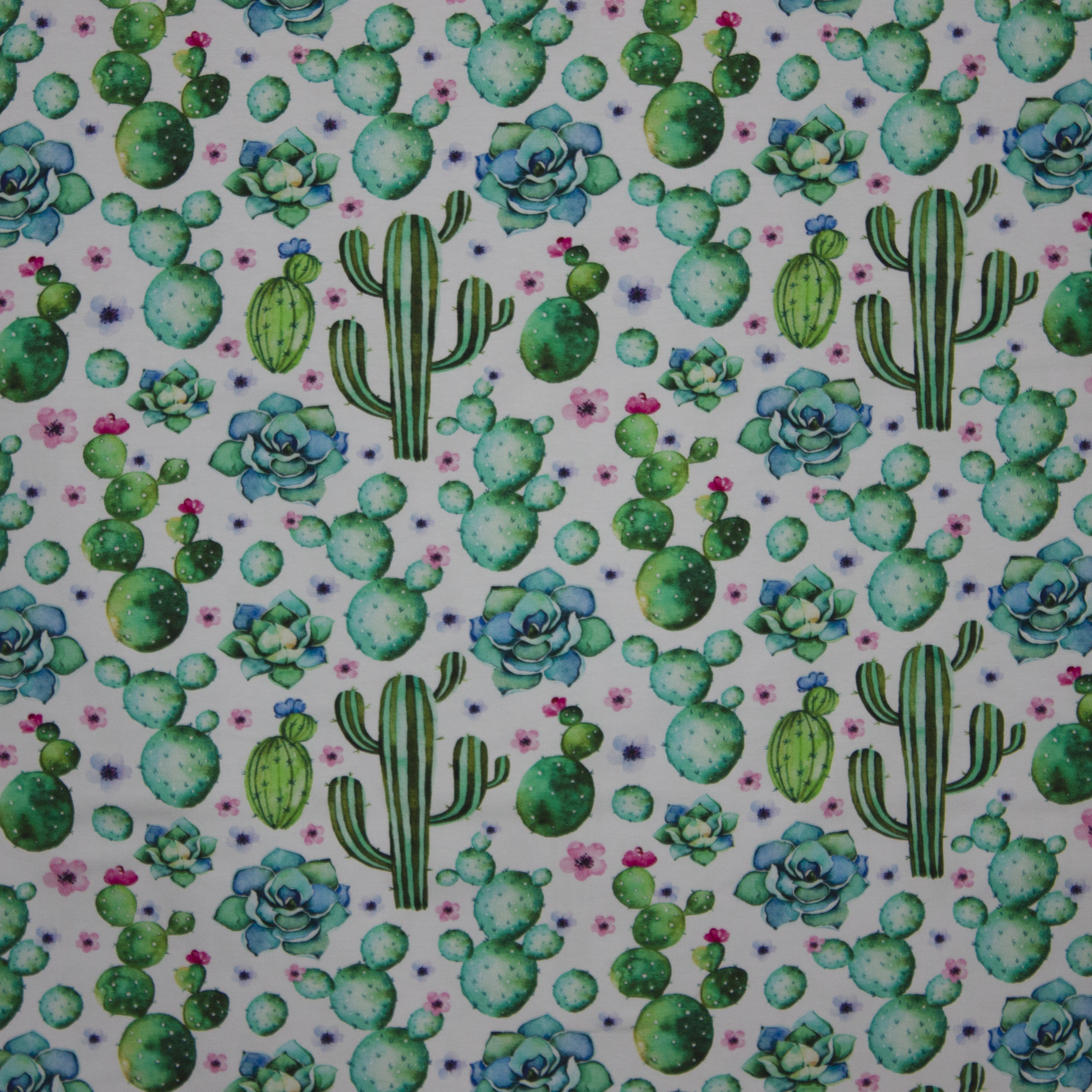 tricot met cactusmotief