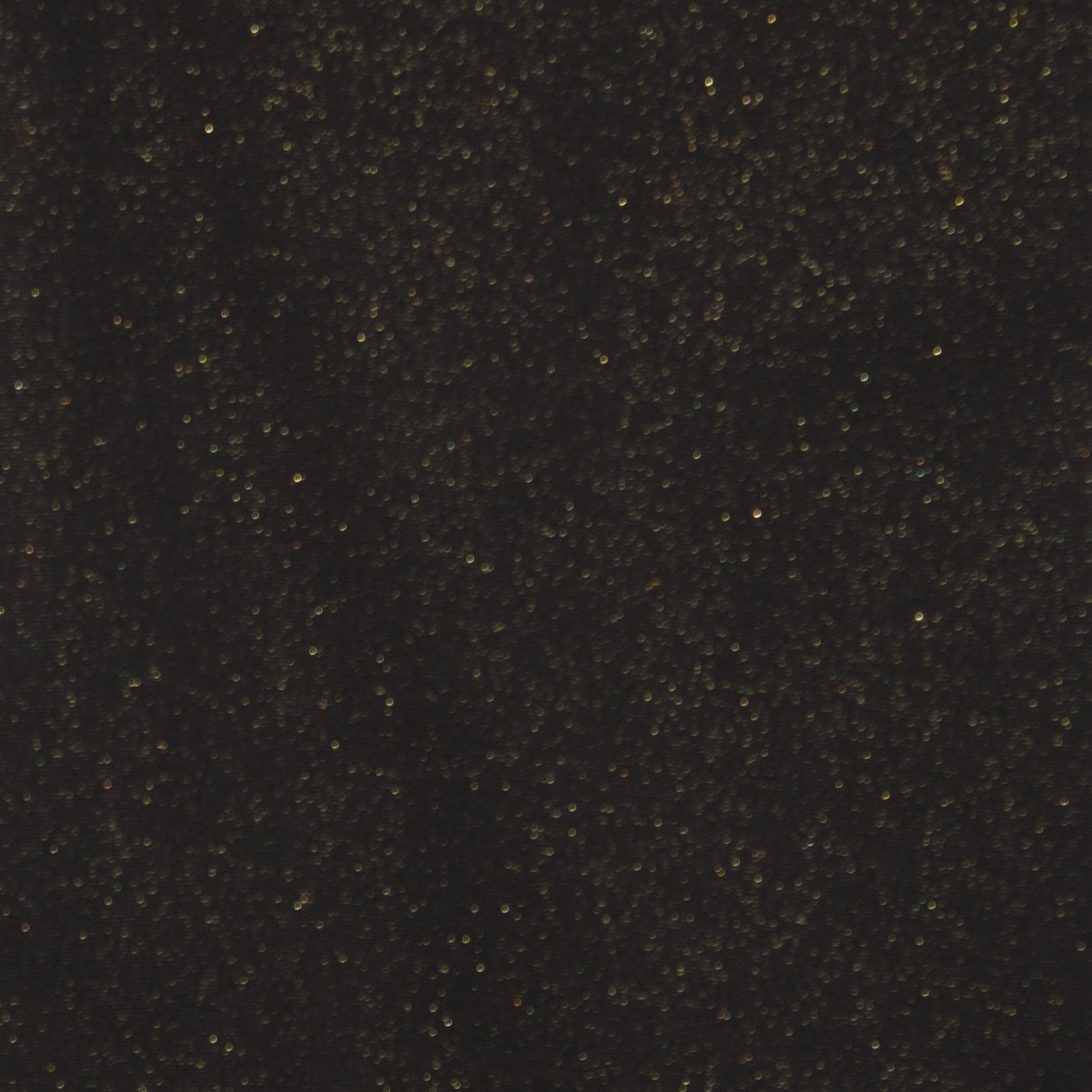 geribde boordstof zwart met gouden glitter