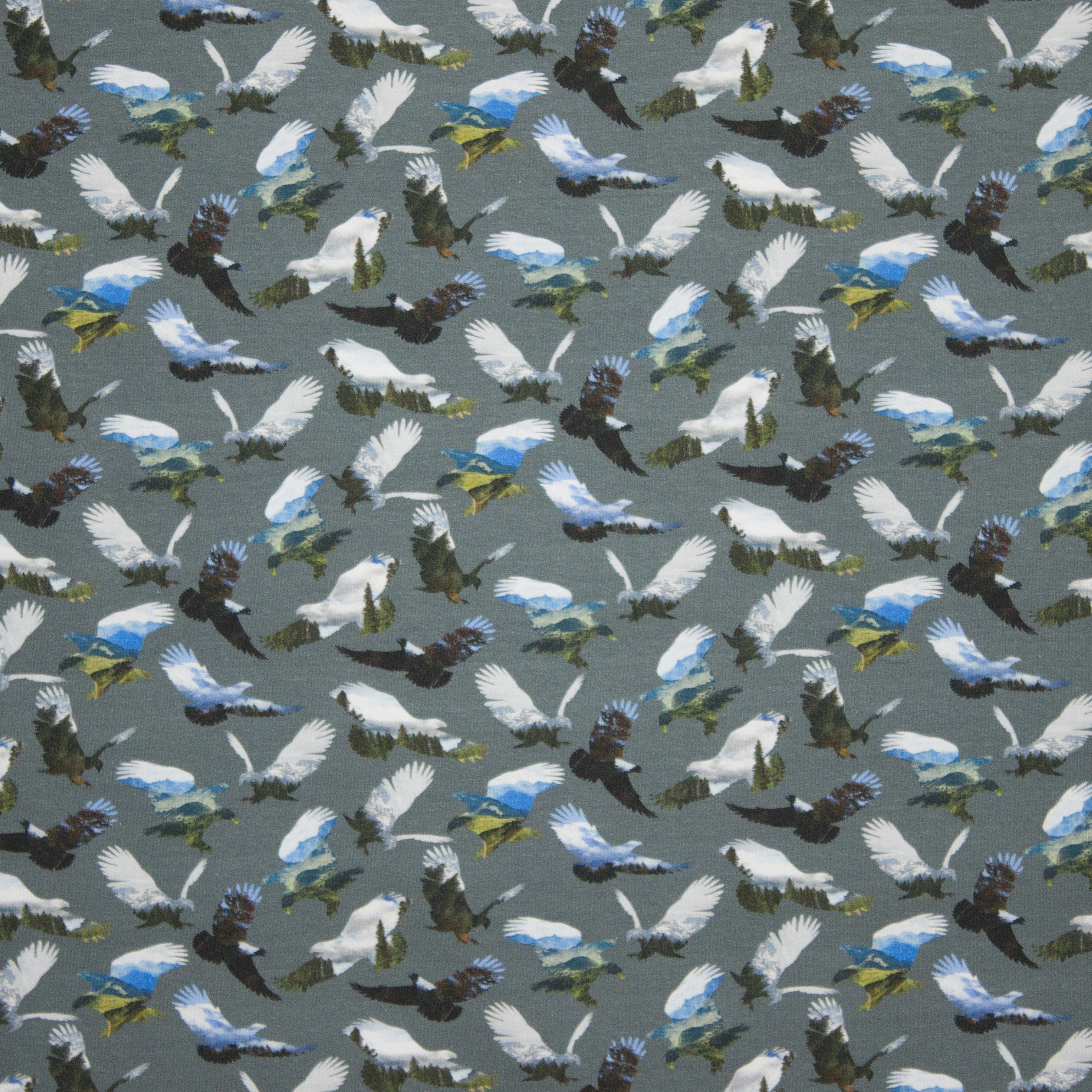 katoentricot Eagles