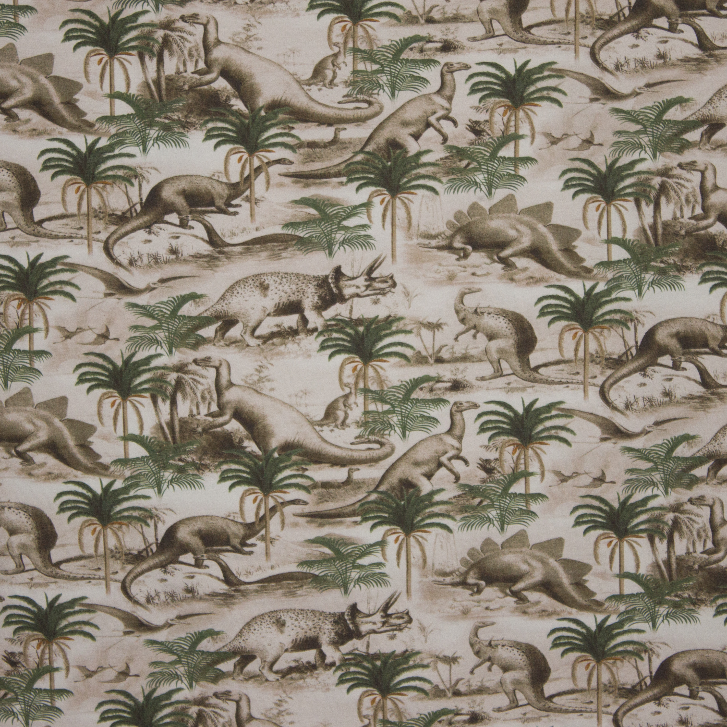 katoentricot Dino Time