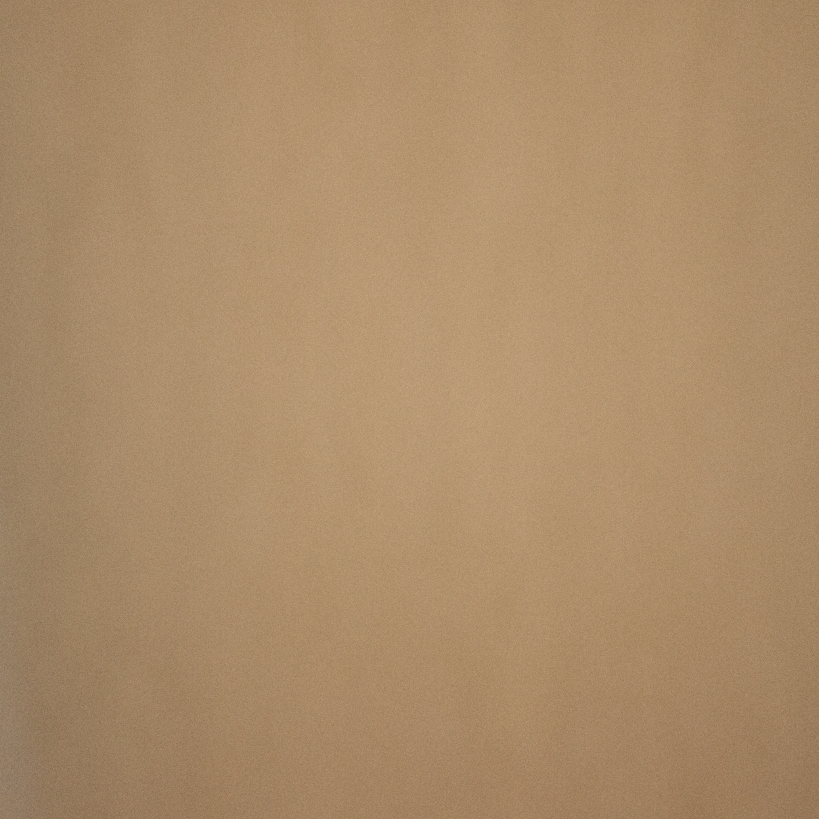 See you at six - Playtime - Bridal Tule Nude