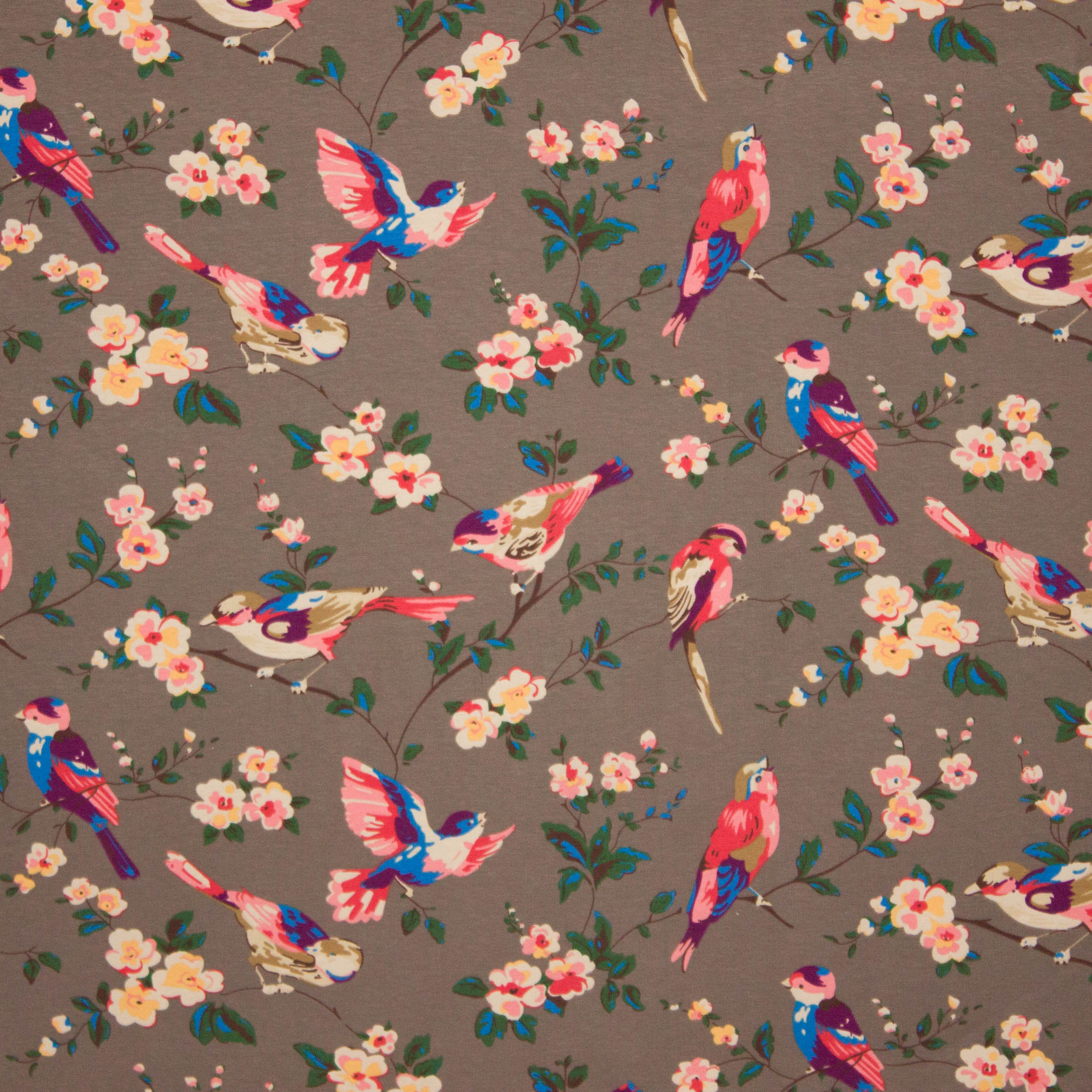 lichtbruine tricot met vogeltjes