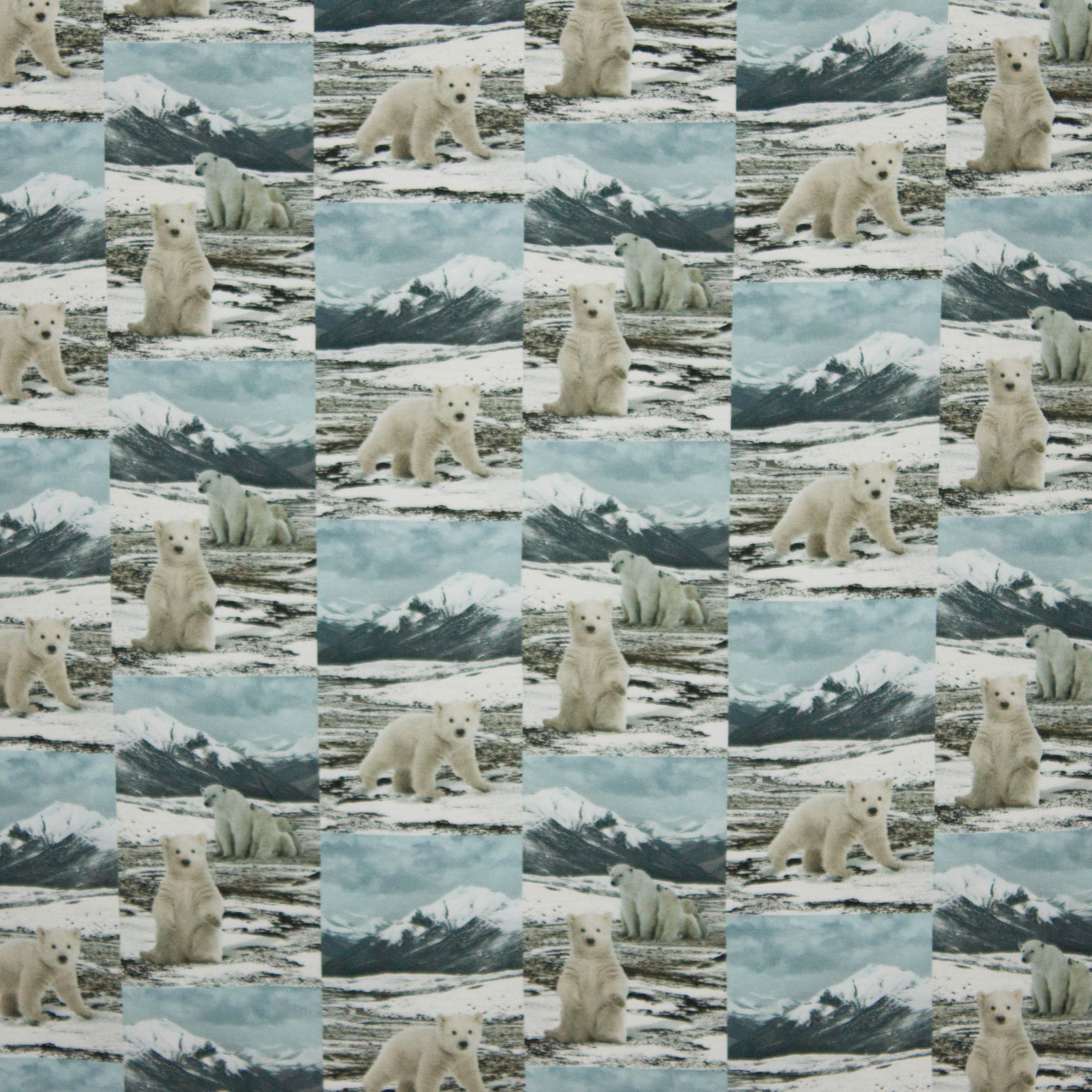 tricot met ijsbeertjes