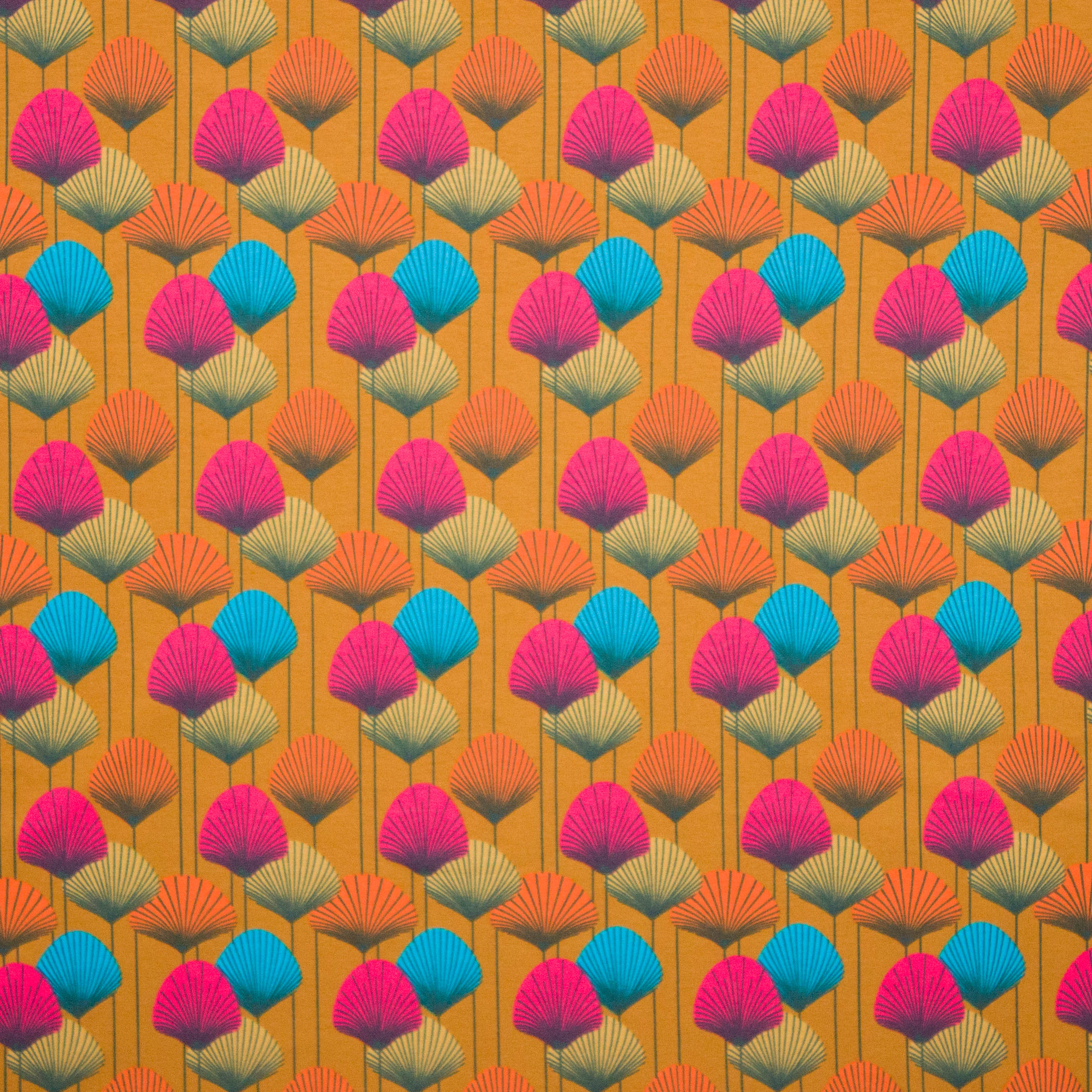 tricot met waaiertjes