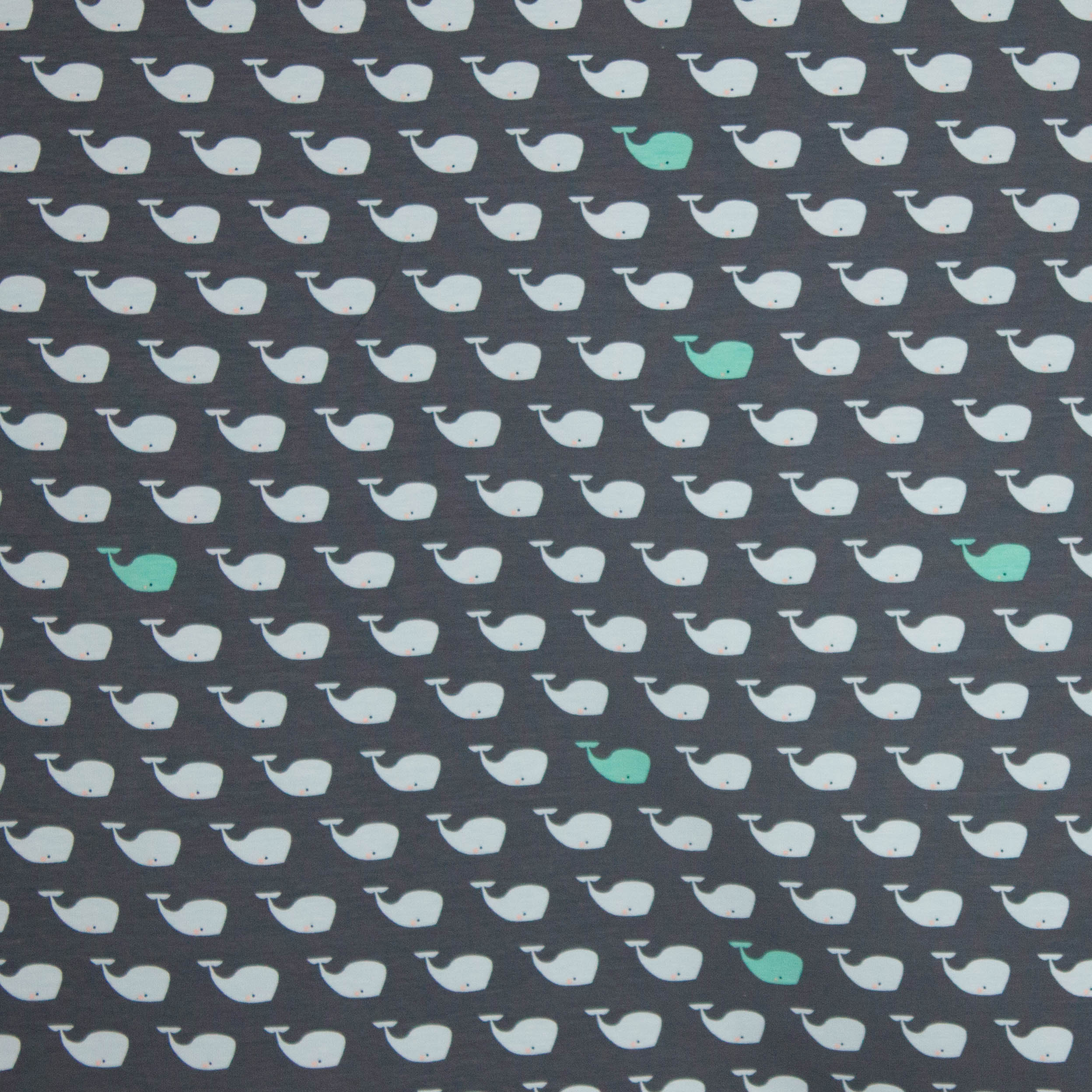 Mies & Moos combi print walvis grijs
