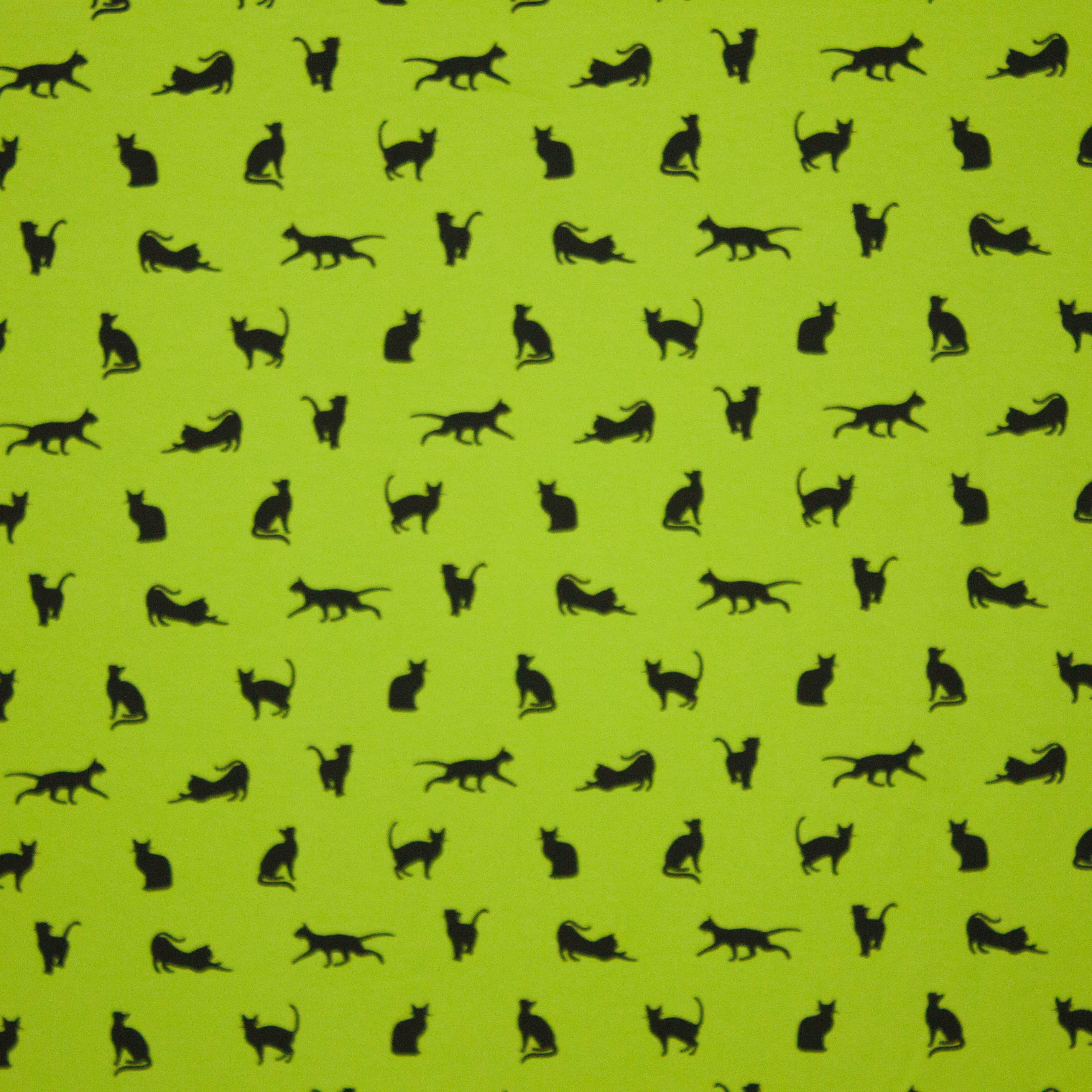 sweater poezen groen