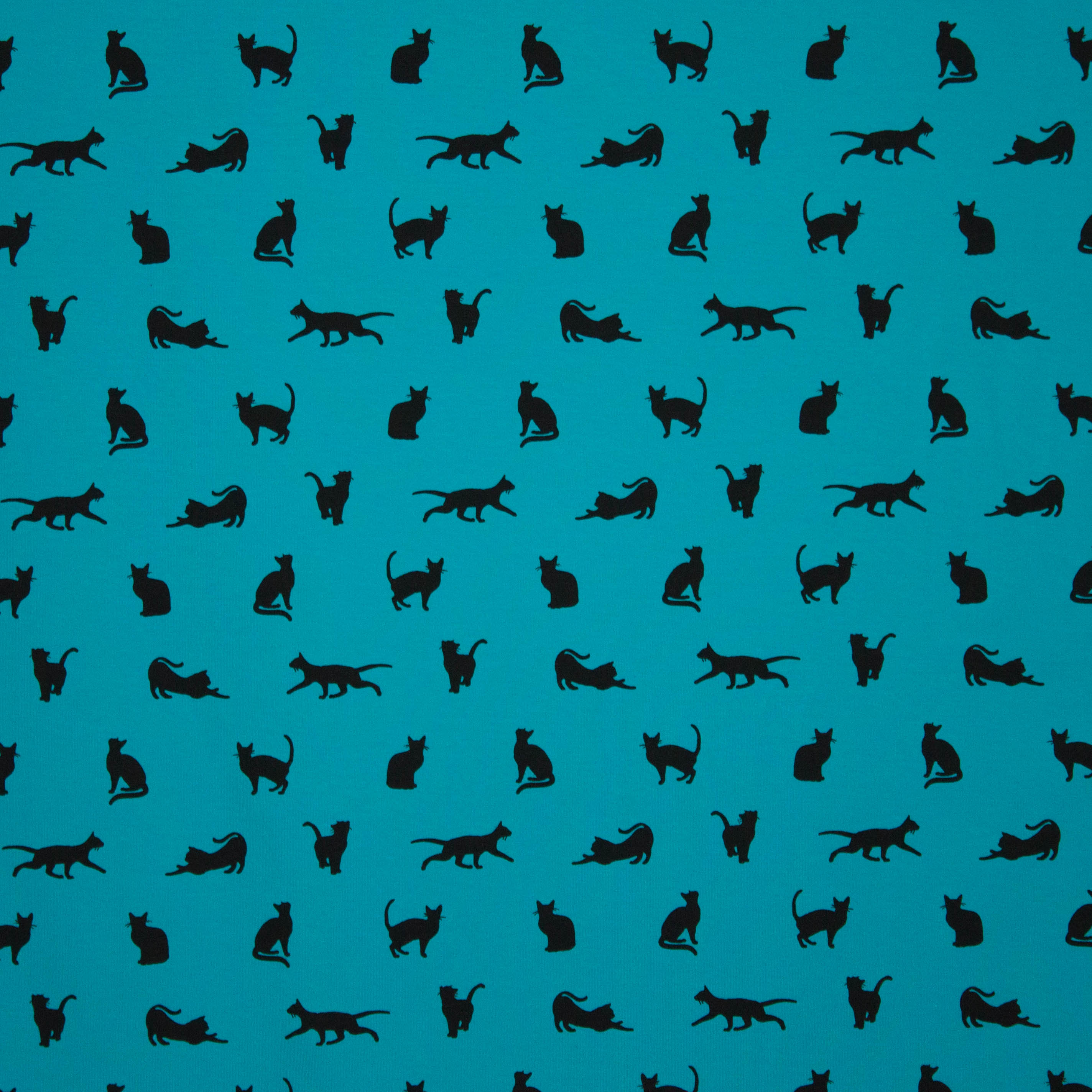 sweater poezen turquoise