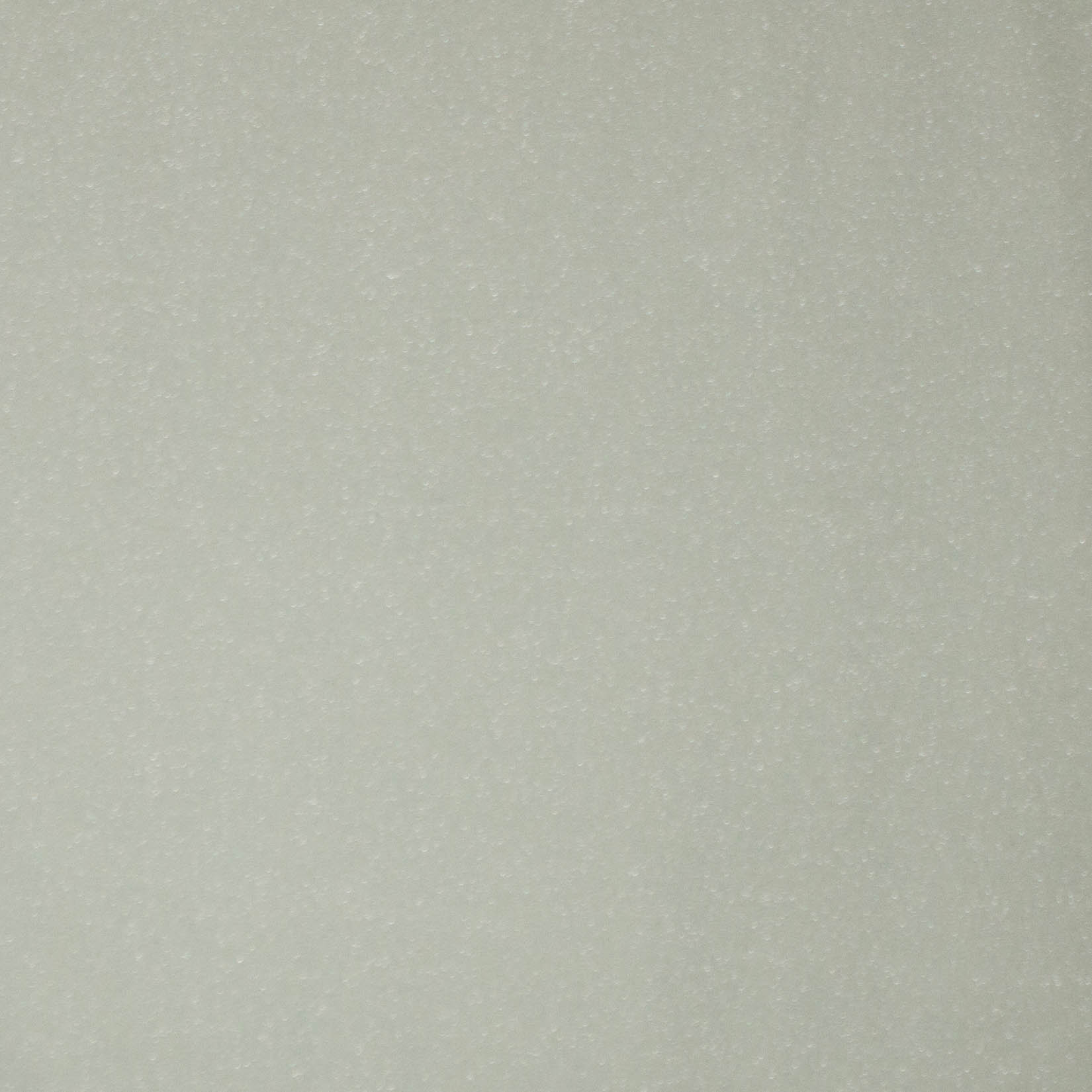 Munt glitter jogging