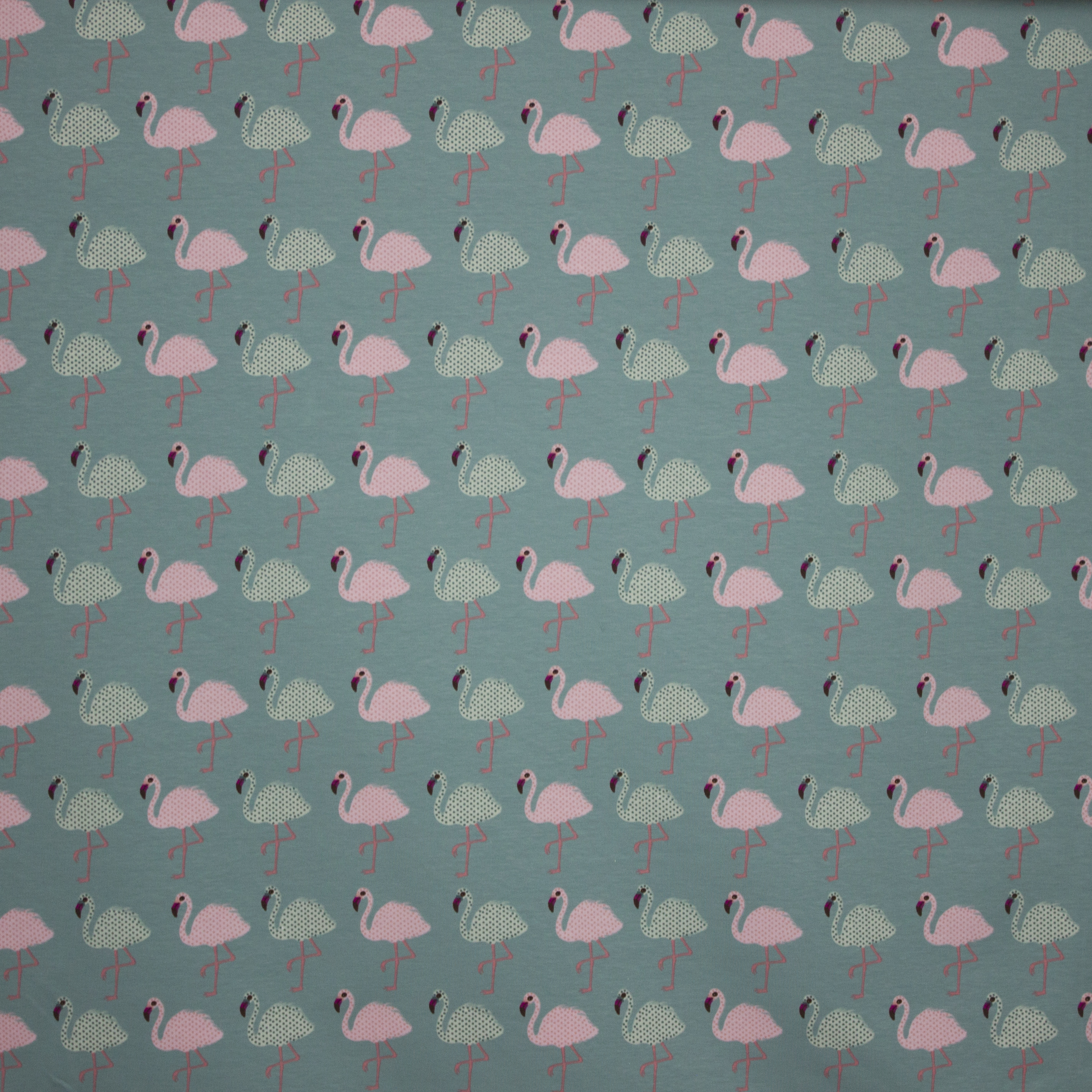 Tricot in munt met flamingoprint