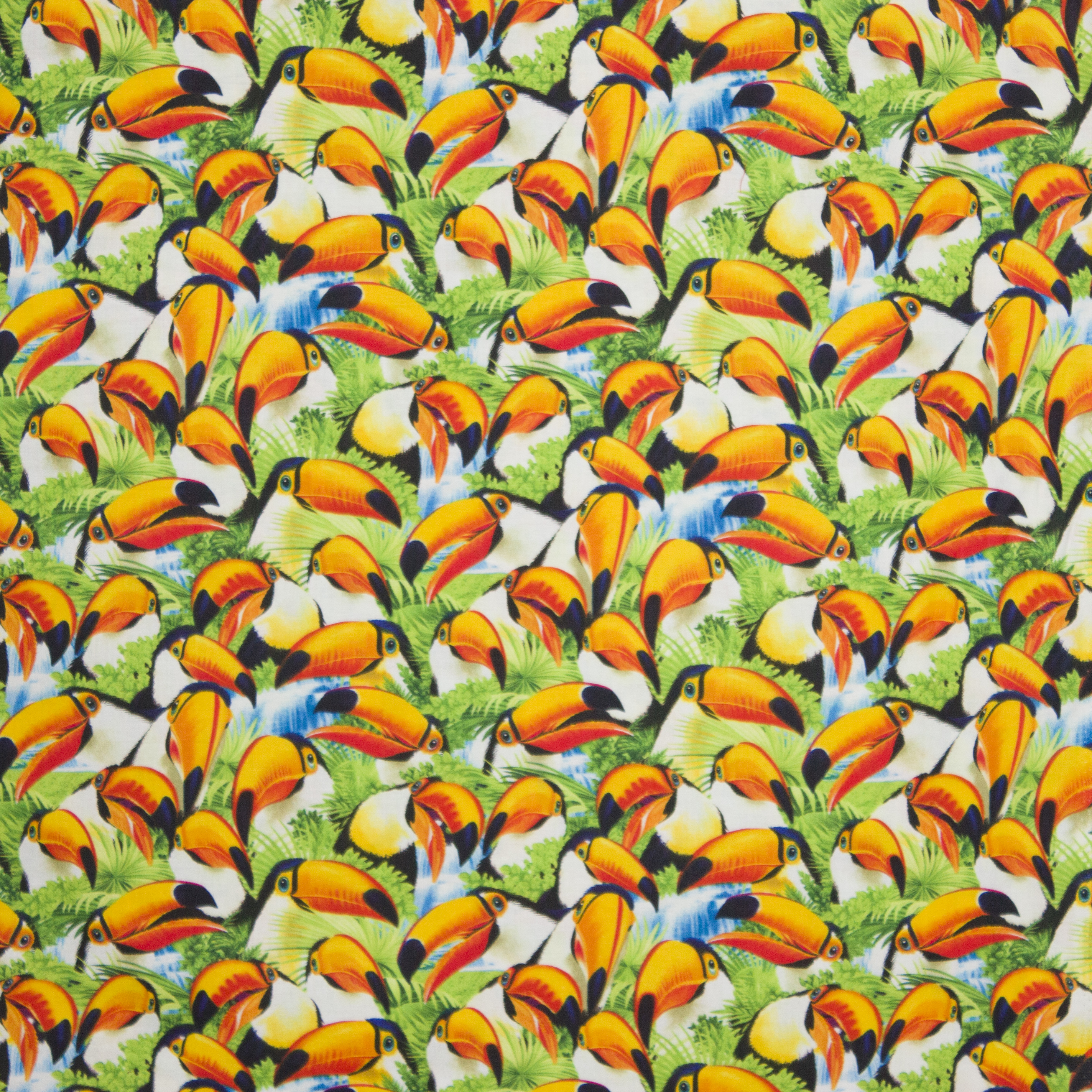 Katoen Michael Toucan