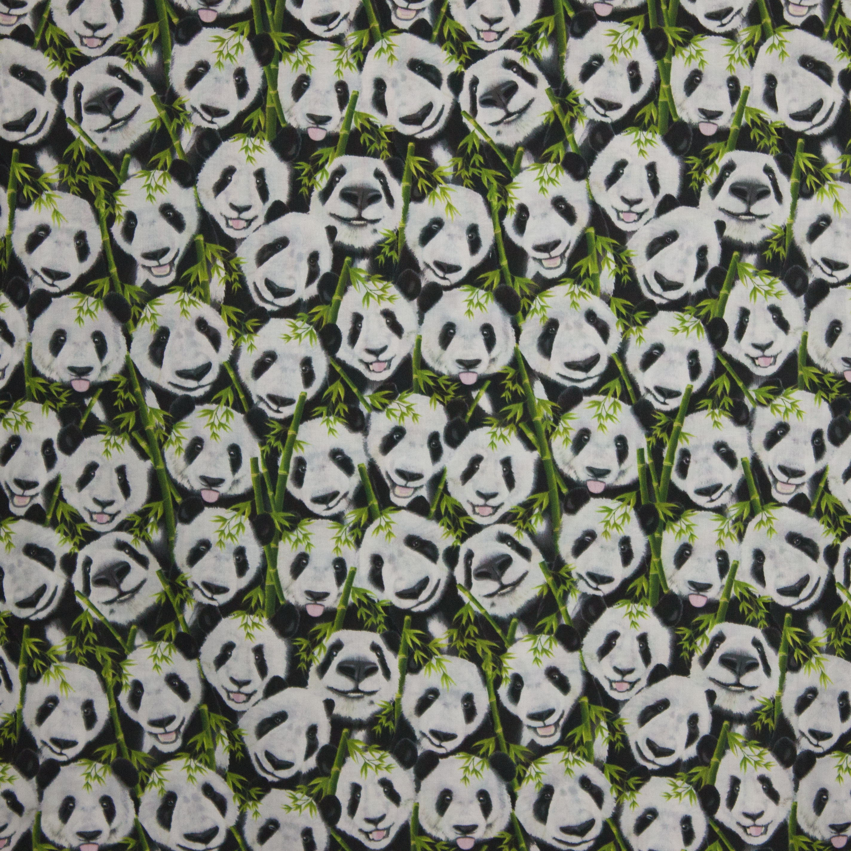Katoen Michael Panda