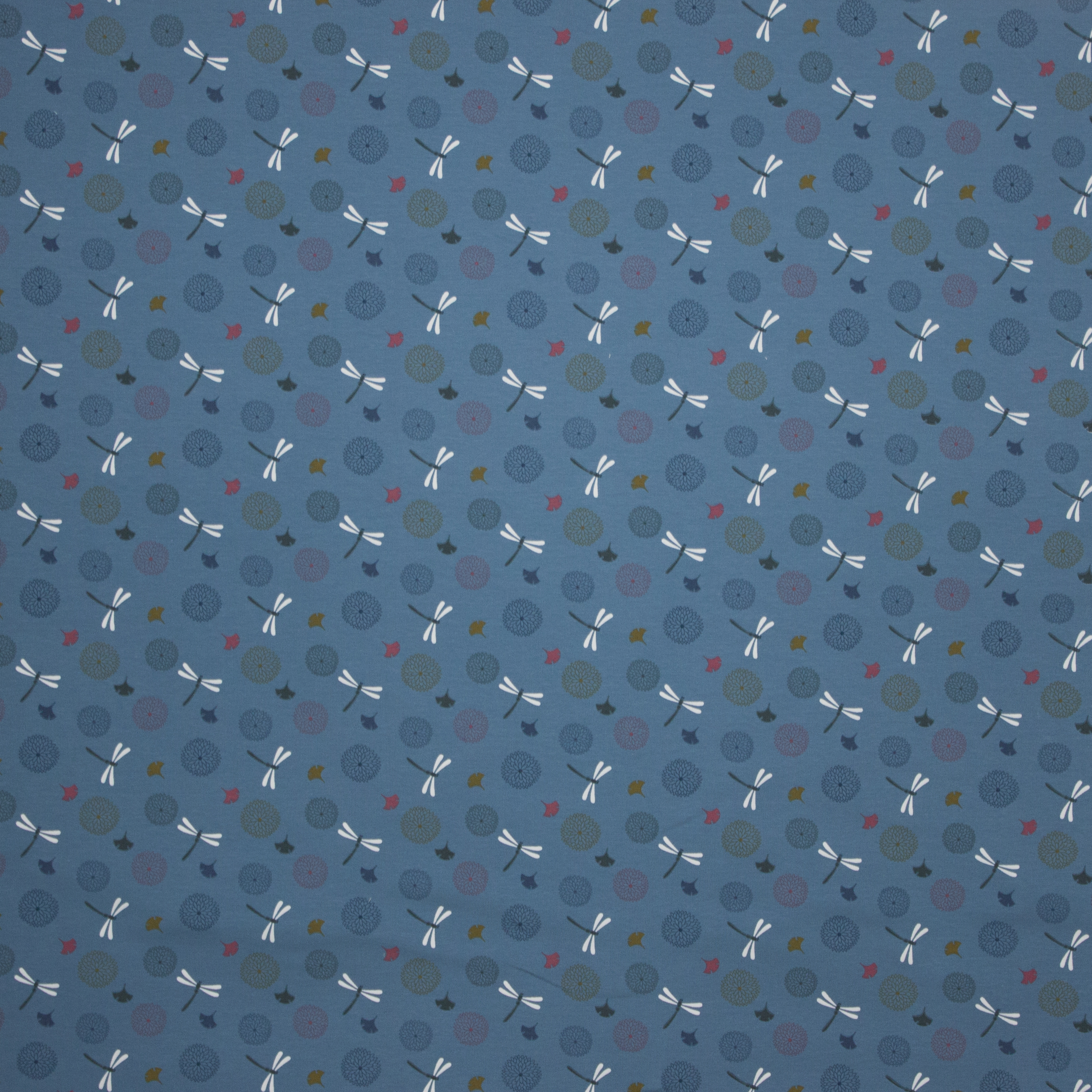 lichte french terry sweater met libellenprint