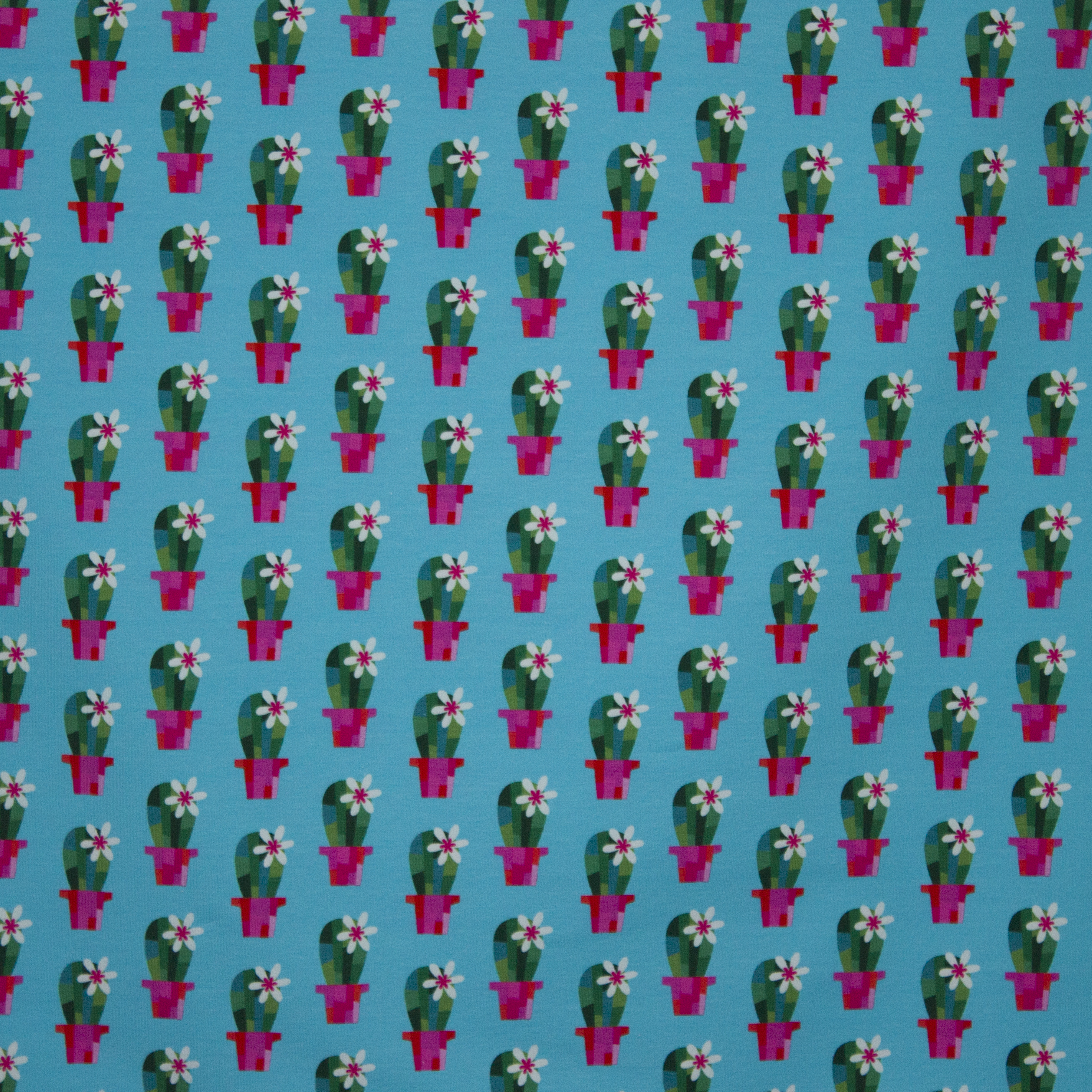 French terry Cactusblossom