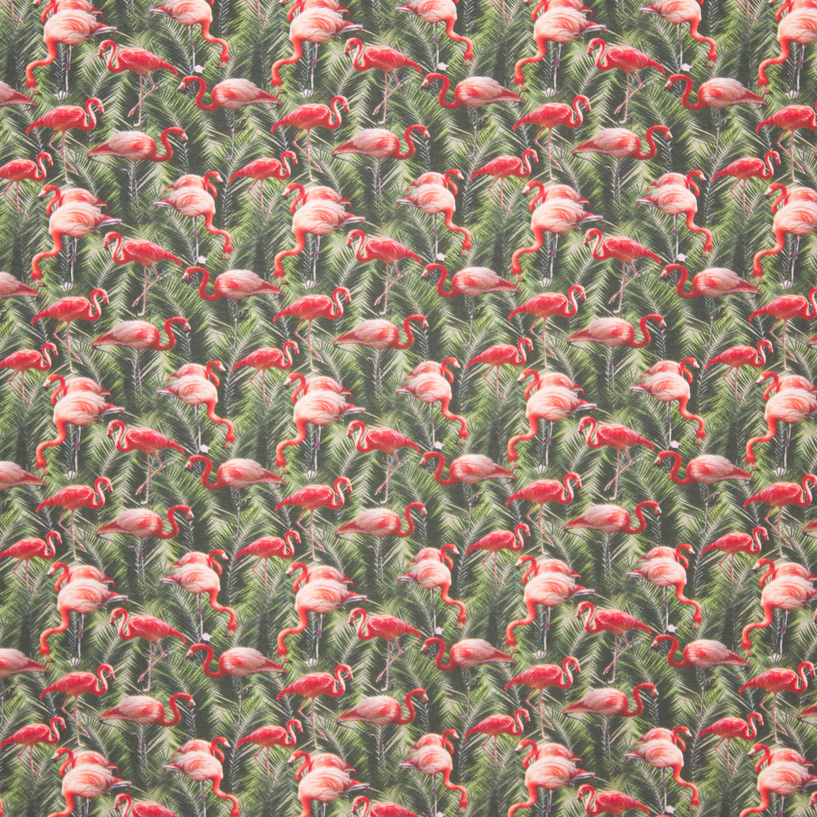 katoentricot roze flamingo's