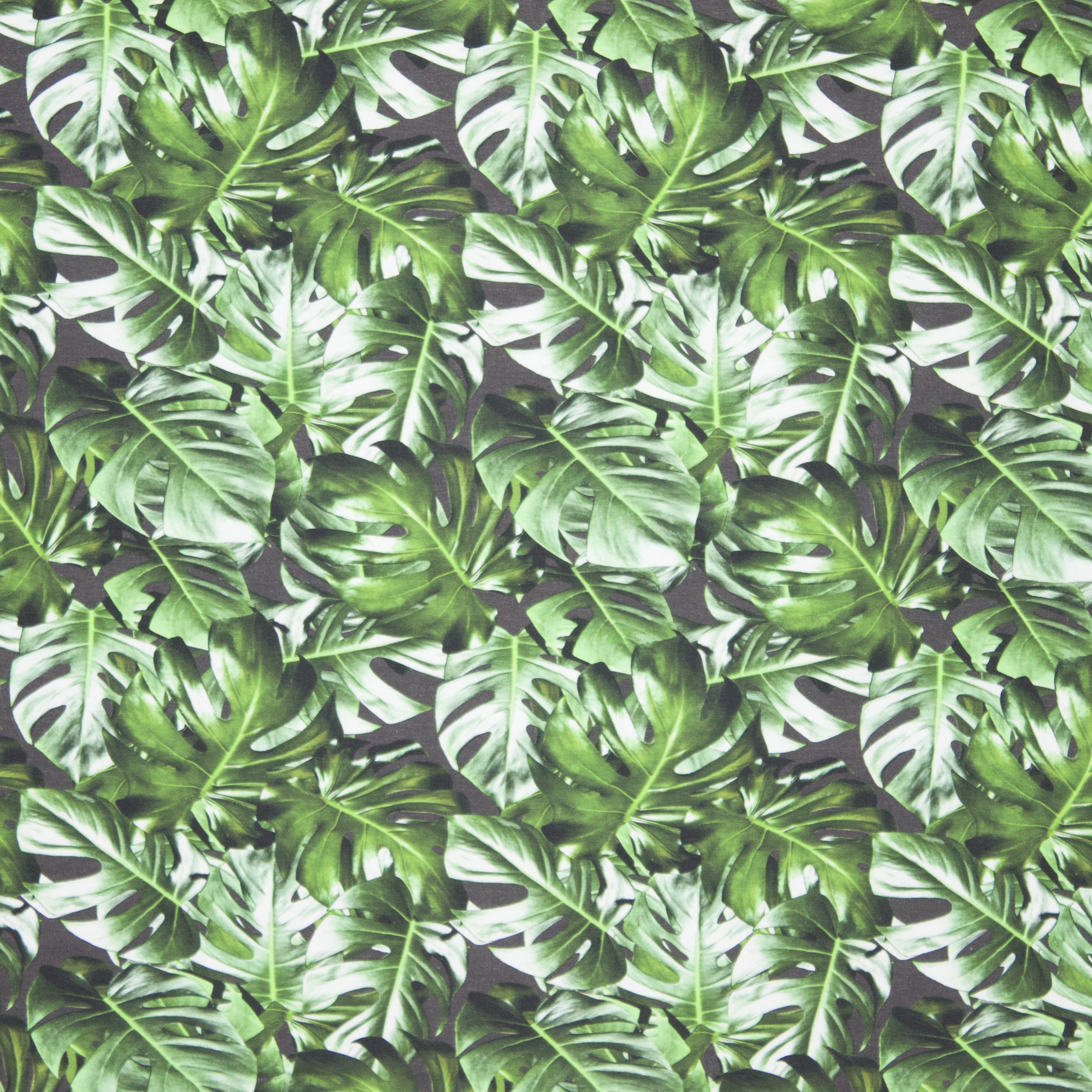 katoentricot groene bladeren Monstera