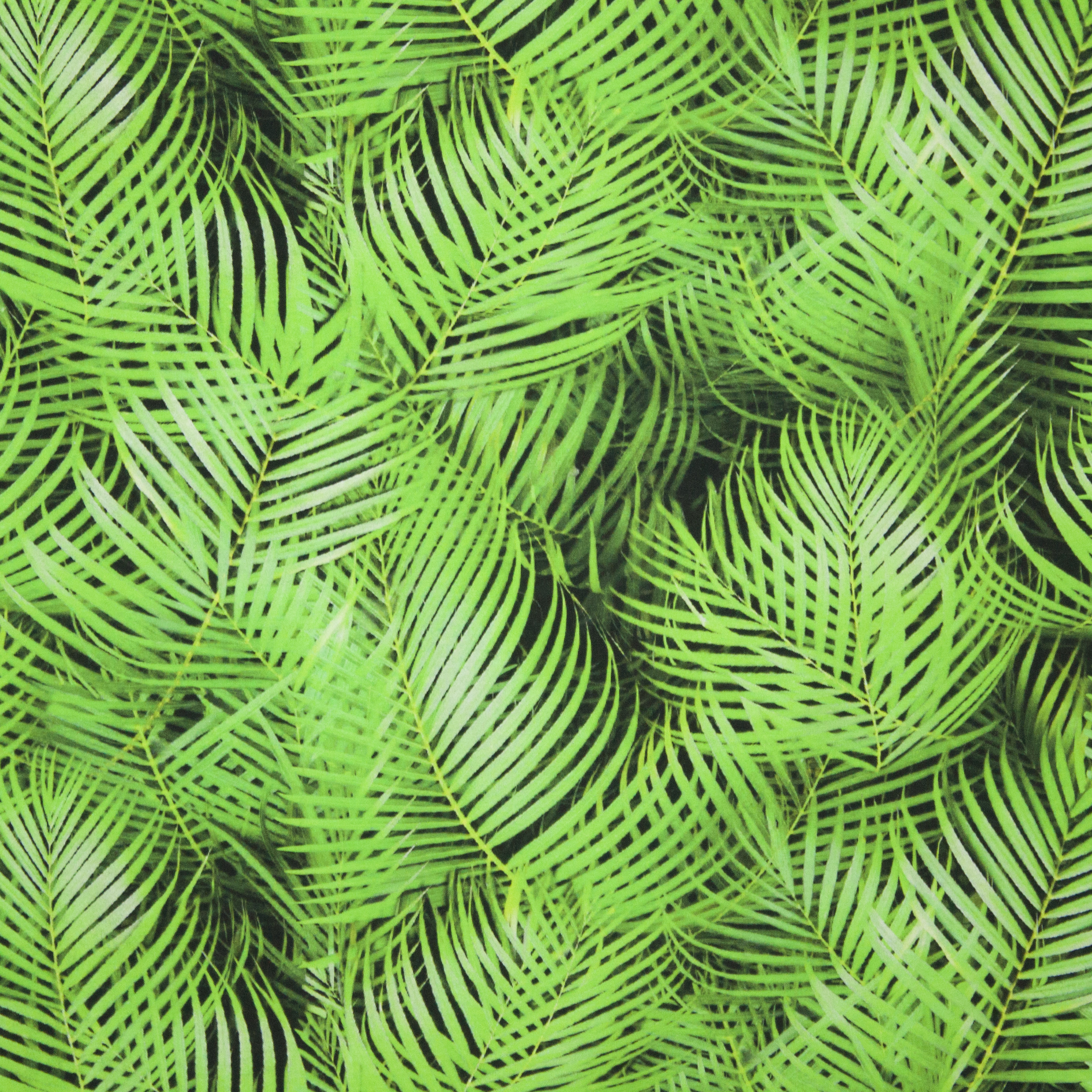 katoentricot groene bladeren goudpalm
