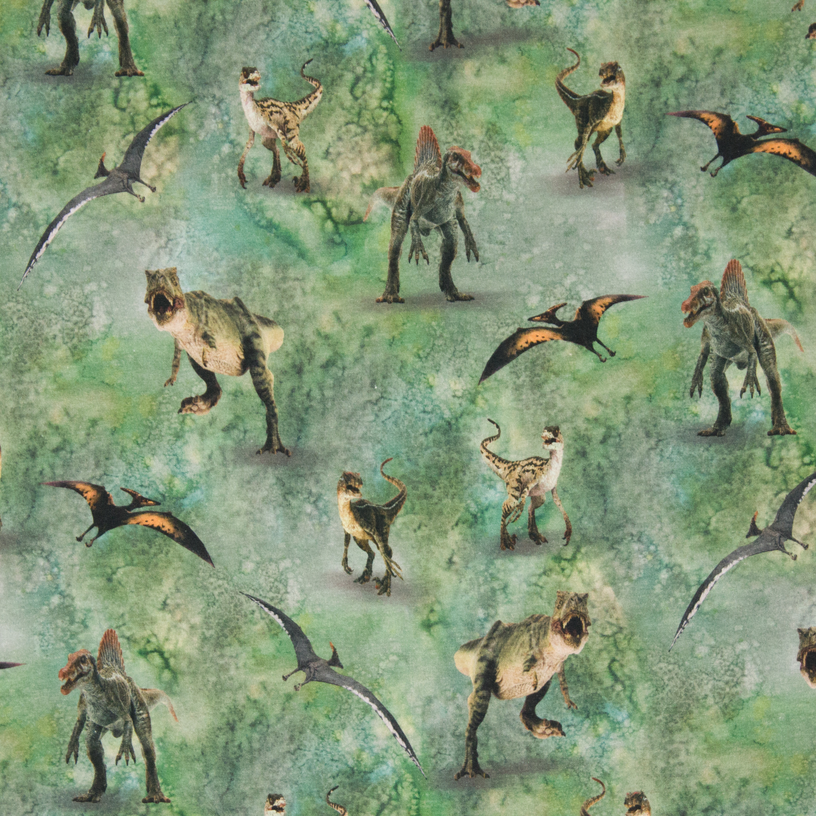 Groene french terry dinosaurussen