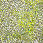 Witte Italiaanse Piqué met Groen Patroon van Alta Moda