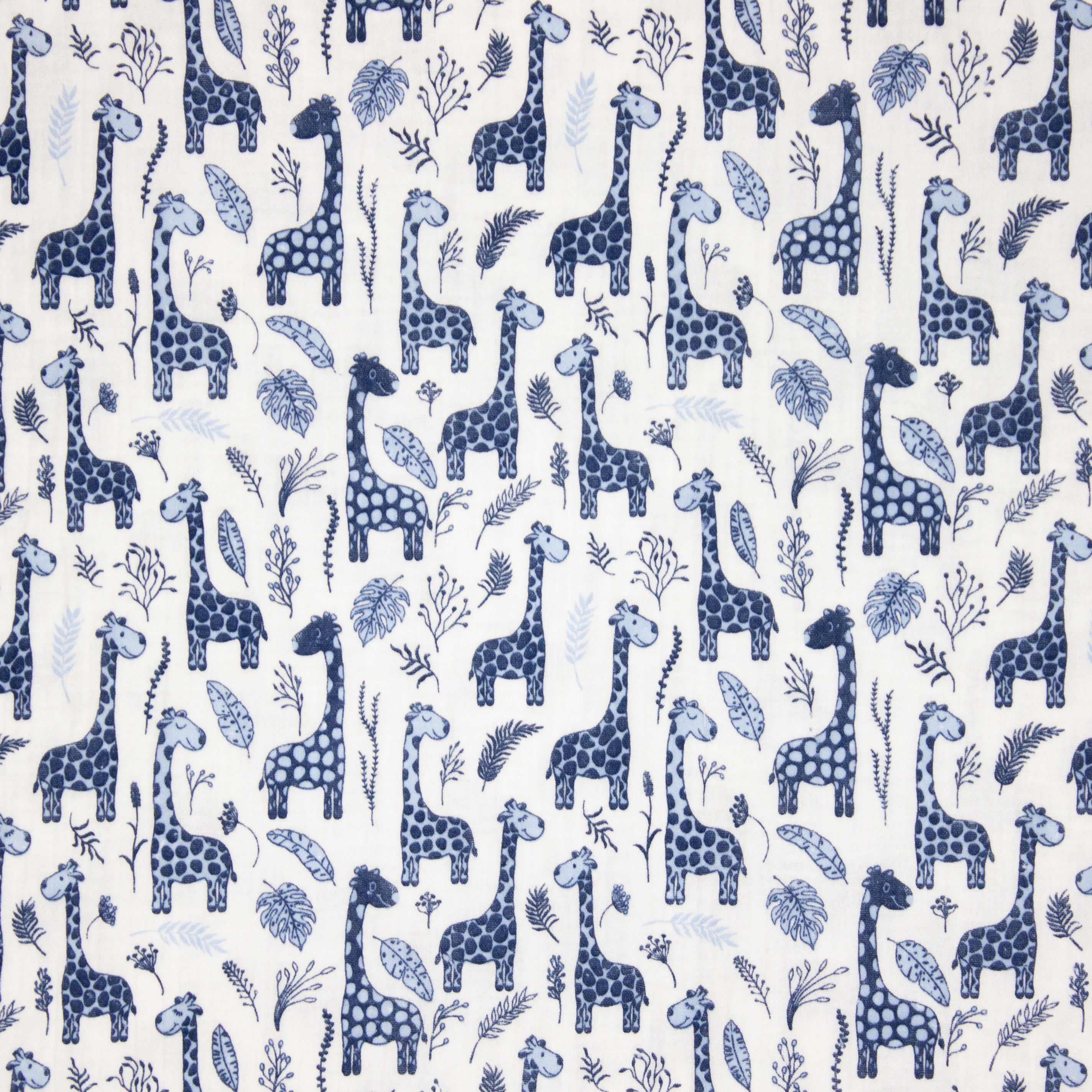 Witte Tetra met Blauwe Giraffen