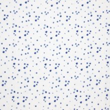 Witte Tetra met Blauwe Stippen
