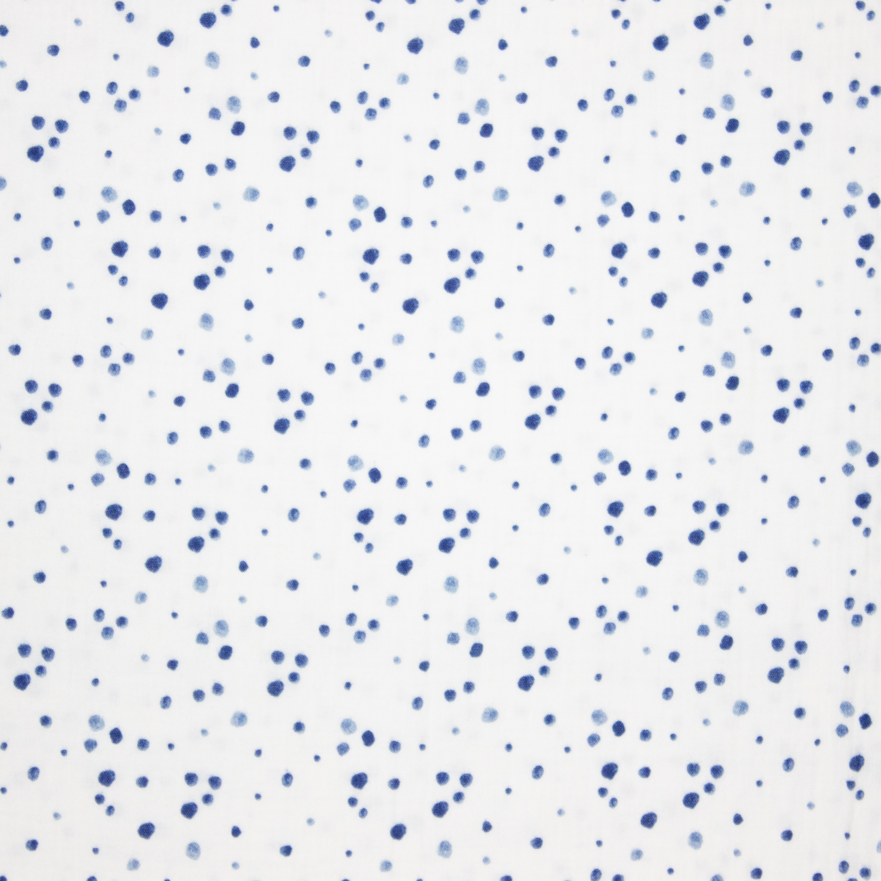 Witte Tetra met Blauwe Stippen