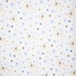 Witte Tricot met Vlinders