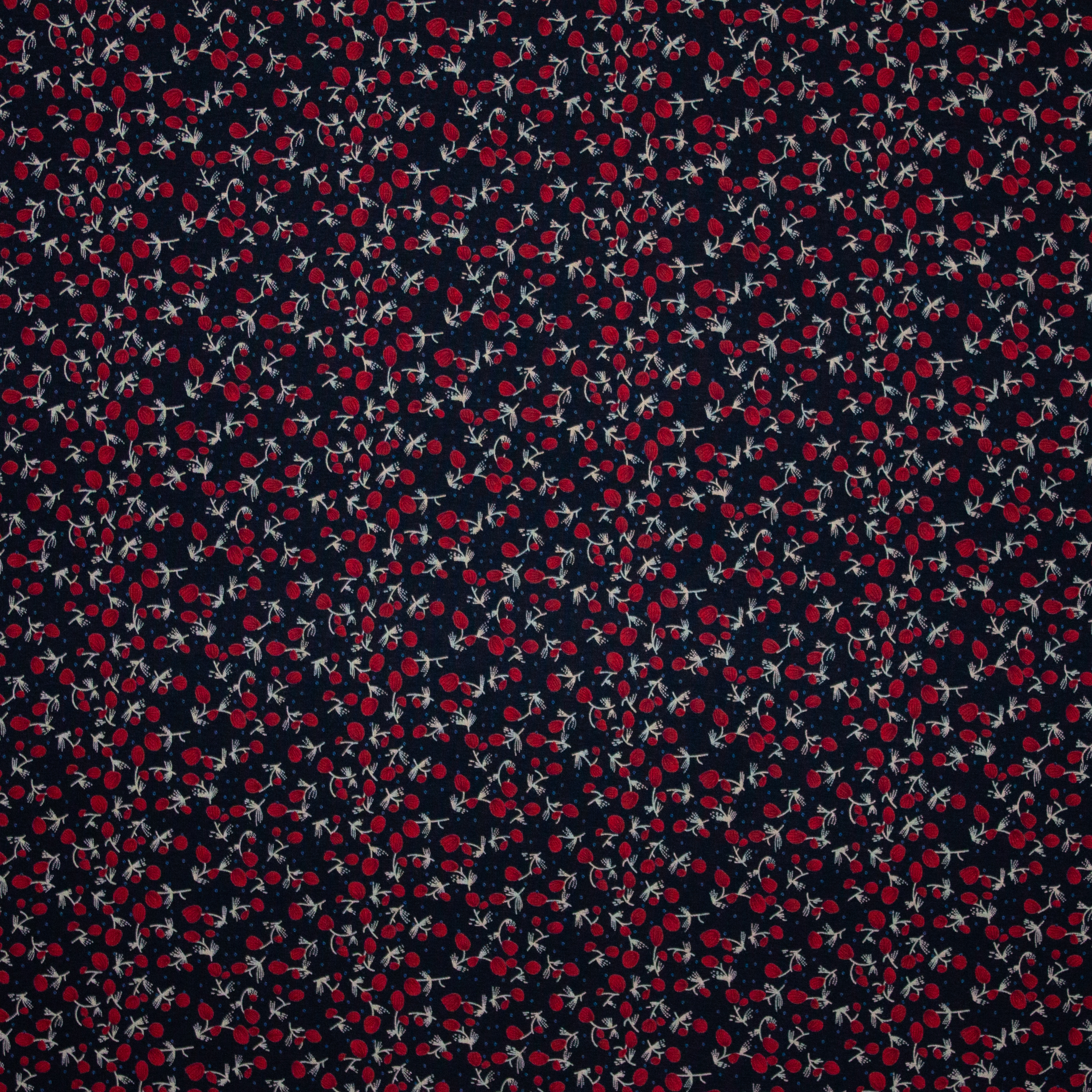 Zwarte Tricot met Rode Bloemetjes
