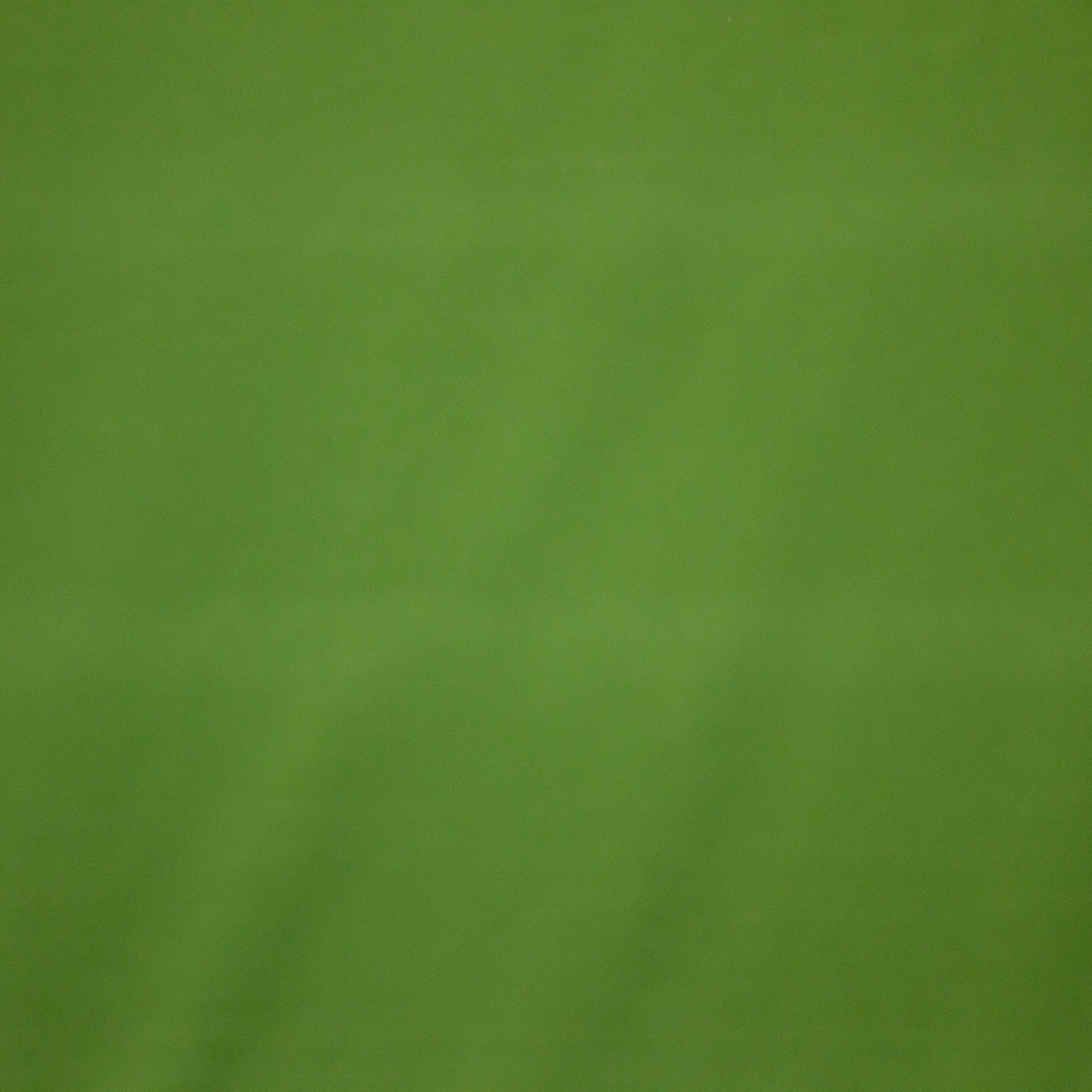 Chrome Green Opaque Katoen Tricot